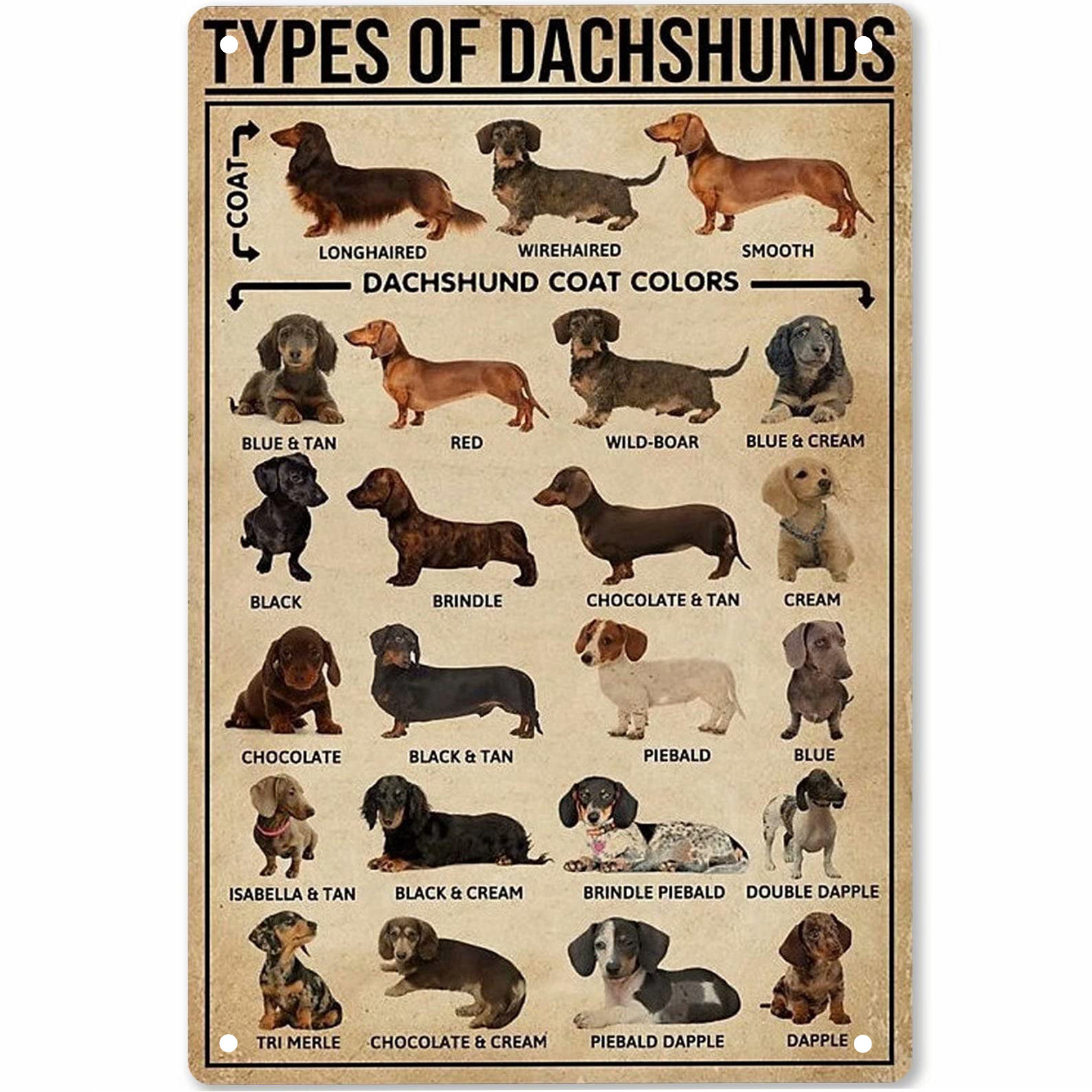 Pet Lovers Wall Decoration Sausage Dog - Image 2