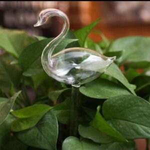 Green Plant Potted Automatic Watering Device