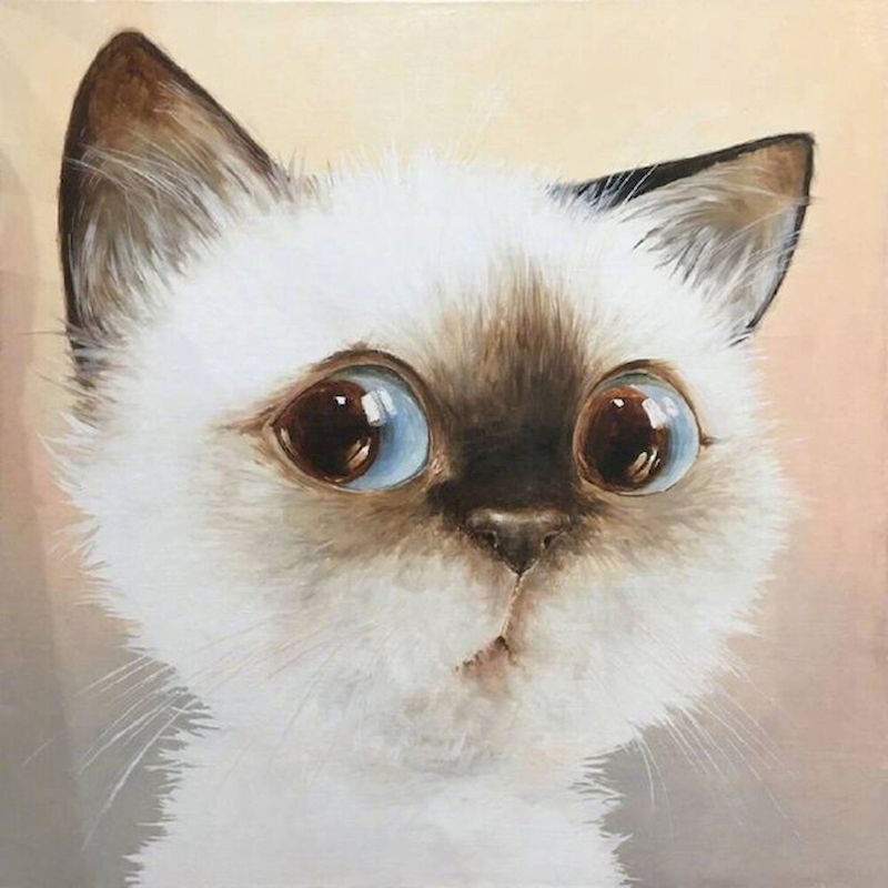 Cute Cat DIY Painted Adult Children Hand-painted Oil Painting - Image 5