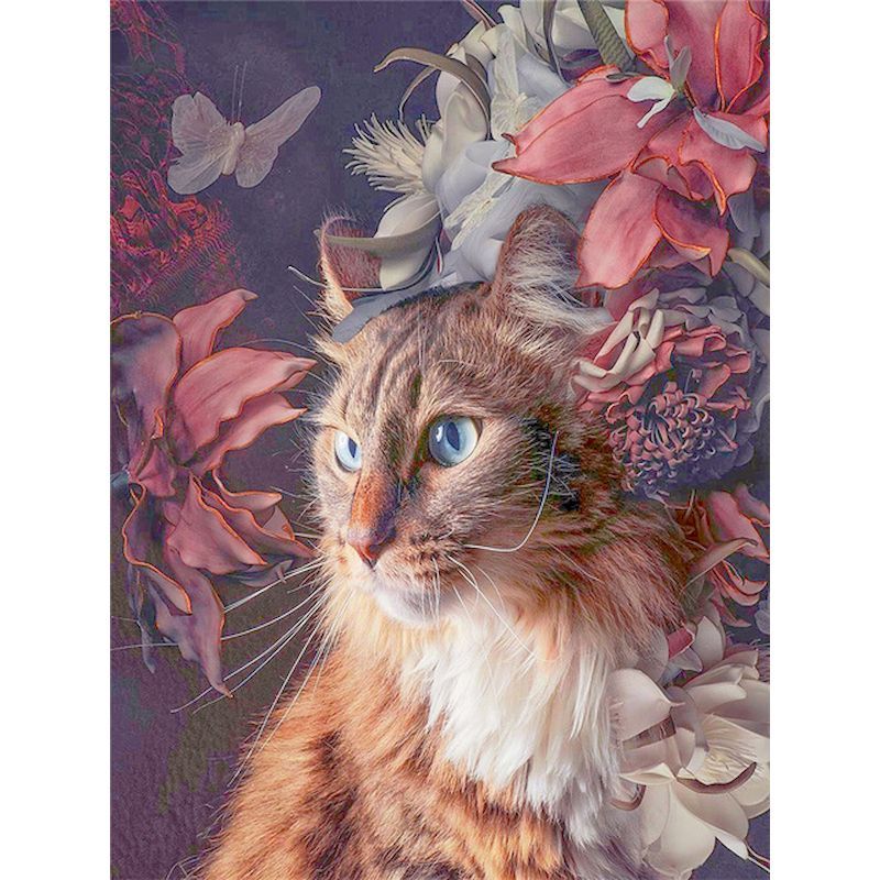 Cute Cat DIY Painted Adult Children Hand-painted Oil Painting - Image 7