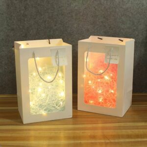 Transparent Hand Flowers Gift Bag