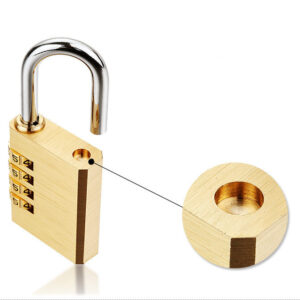 Large Gym Cupboard Door DoorPadlock