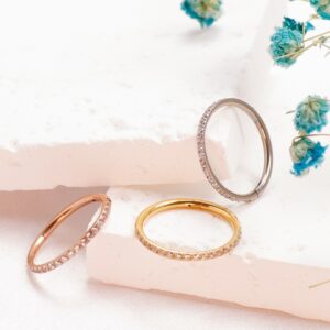 Implanted Titanium Alloy Plain Ring Zircon Seamless Nose