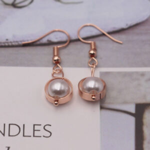 Imitation Silver Earrings European And American Retro Fringe Accessories