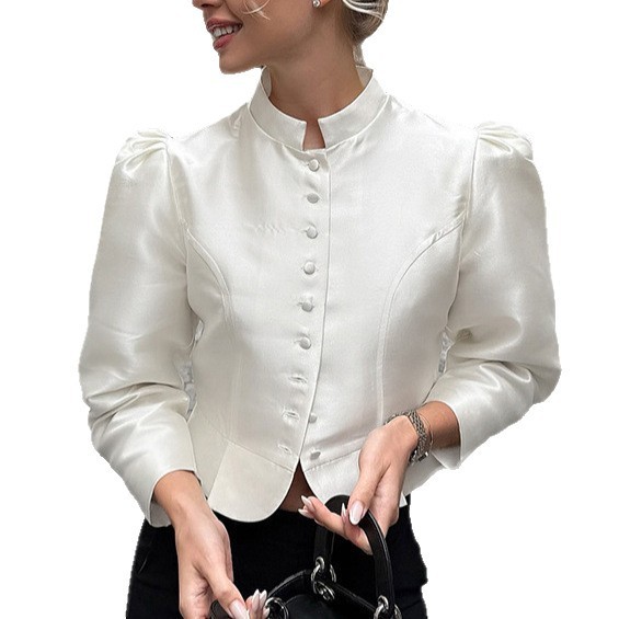 Women's Stand Collar Puff Sleeve Elegant Shirt - Image 5