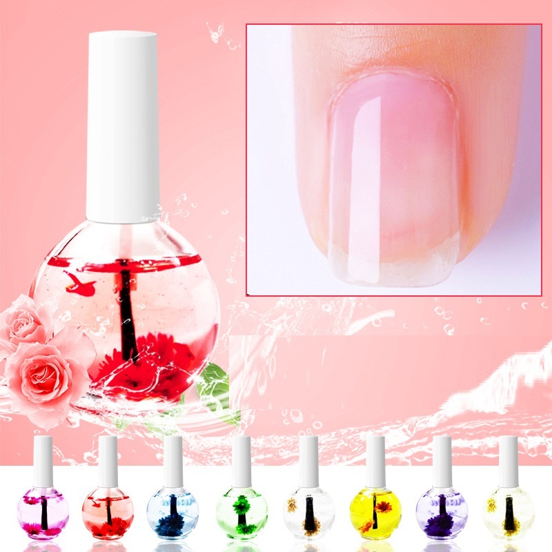 Nail Beauty Dried Flowers Nutrition Nail Treatment Oil Anti-agnail Nail Edge Moisturizing Nail Base Coat Natural Dried Flower Nutrient Solution - Image 2