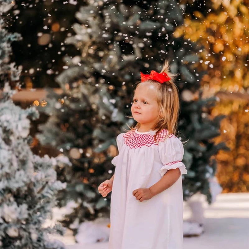 Infant Baby Girl Valentines Day Dress Lace Short Sleeve Round Neck White With Red Embroidery Party Dress - Image 10