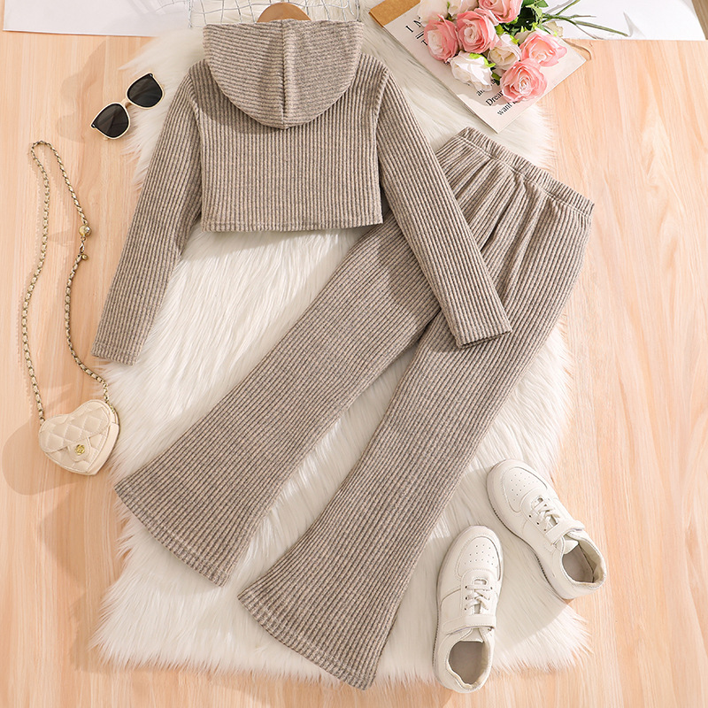 Autumn And Winter New Knit Ribbed Long-sleeve Hooded Zip-up Sweater - Image 2