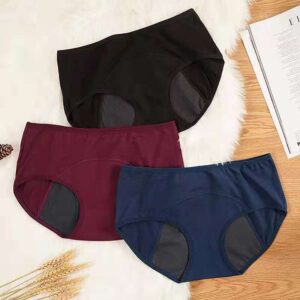 Women's Physiological Pants Menstrual High Flow Postpartum Panties