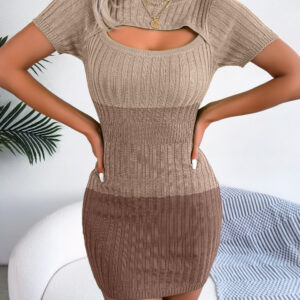 Sexy Hollow Out Ombre Gradient Waist Cinched Knit Bodycon Dress
