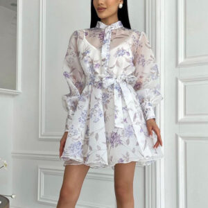 Stand-collar Long-sleeve Tie-front Printed Dress